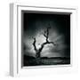 The Last Tree-Marcin Stawiarz-Framed Giclee Print