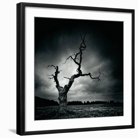 The Last Tree-Marcin Stawiarz-Framed Giclee Print