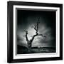 The Last Tree-Marcin Stawiarz-Framed Giclee Print