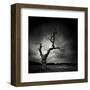 The Last Tree-Marcin Stawiarz-Framed Art Print