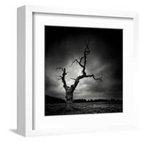 The Last Tree-Marcin Stawiarz-Framed Art Print