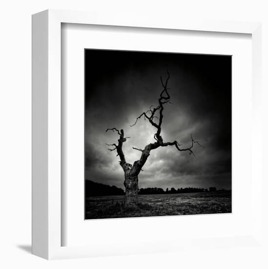 The Last Tree-Marcin Stawiarz-Framed Art Print