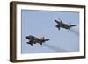 The Last Two Operational F-4F Phantom's of the German Air Force-null-Framed Photographic Print