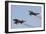 The Last Two Operational F-4F Phantom's of the German Air Force-null-Framed Photographic Print