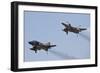 The Last Two Operational F-4F Phantom's of the German Air Force-null-Framed Photographic Print