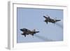 The Last Two Operational F-4F Phantom's of the German Air Force-null-Framed Photographic Print