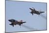 The Last Two Operational F-4F Phantom's of the German Air Force-null-Mounted Photographic Print