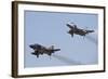 The Last Two Operational F-4F Phantom's of the German Air Force-null-Framed Photographic Print