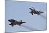 The Last Two Operational F-4F Phantom's of the German Air Force-null-Mounted Photographic Print