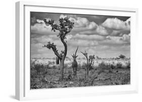 The Last Unicorn-Marcel Rebro-Framed Giclee Print