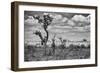 The Last Unicorn-Marcel Rebro-Framed Photographic Print