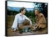 THE LAST WAGON, 1956 directed by DELMER DAVES Felicia Farr and Richard Widmark (photo)-null-Framed Stretched Canvas