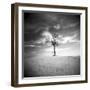 The Last-Craig Roberts-Framed Photographic Print