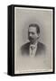 The Late Count Taafe, Austro-Hungarian Statesman-null-Framed Stretched Canvas