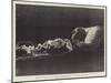 The Late Count Von Moltke Lying in State in the Palace of the General Staff, Berlin-null-Mounted Giclee Print