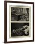 The Late Czar of Russia-null-Framed Giclee Print