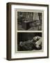 The Late Czar of Russia-null-Framed Giclee Print