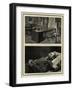 The Late Czar of Russia-null-Framed Giclee Print