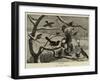 The Late Forest-null-Framed Giclee Print