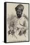 The Late Jeejeebhoy Dadabhoy, Esquire, of Bombay-null-Framed Stretched Canvas