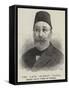 The Late Midhat Pasha, Exiled Grand Vizier of Turkey-null-Framed Stretched Canvas