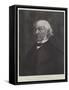 The Late Mr Gladstone-null-Framed Stretched Canvas