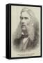 The Late Mr Henry Calvert, Vice-Consul at Alexandria-null-Framed Stretched Canvas