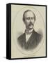 The Late Mr Henry Gamble Blagrove-null-Framed Stretched Canvas