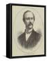 The Late Mr Henry Gamble Blagrove-null-Framed Stretched Canvas