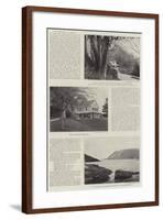 The Late Mr J a Froude-null-Framed Giclee Print