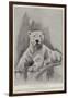 The Late Polar Bear at the Zoological Society's Gardens-Cecil Aldin-Framed Giclee Print