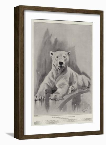 The Late Polar Bear at the Zoological Society's Gardens-Cecil Aldin-Framed Giclee Print