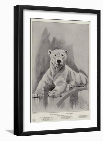 The Late Polar Bear at the Zoological Society's Gardens-Cecil Aldin-Framed Giclee Print