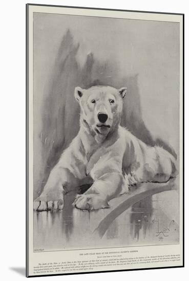 The Late Polar Bear at the Zoological Society's Gardens-Cecil Aldin-Mounted Giclee Print