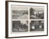 The Late President Mckinley, Last Appearances at Niagara and Buffalo-null-Framed Giclee Print