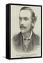 The Late Professor F M Balfour, Killed on Mont Blanc-null-Framed Stretched Canvas