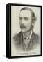 The Late Professor F M Balfour, Killed on Mont Blanc-null-Framed Stretched Canvas