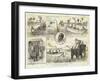 The Late Rebellion in Lower Burma-William Ralston-Framed Giclee Print