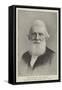 The Late Reverend Dr Hannay, Secretary of the Congregational Union-null-Framed Stretched Canvas