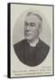 The Late Reverend George T Stokes, Dd, Professor of Ecclesiastical History, Dublin-null-Framed Stretched Canvas