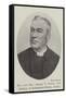 The Late Reverend George T Stokes, Dd, Professor of Ecclesiastical History, Dublin-null-Framed Stretched Canvas
