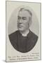 The Late Reverend George T Stokes, Dd, Professor of Ecclesiastical History, Dublin-null-Mounted Giclee Print