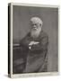 The Late Sir Henry Parkes, Australian Statesman-null-Stretched Canvas