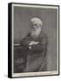 The Late Sir Henry Parkes, Australian Statesman-null-Framed Stretched Canvas