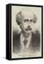 The Late Sir Lewis Pelly, Kcb, Mp-null-Framed Stretched Canvas