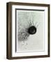 The Laughing Spider, C.1881-Odilon Redon-Framed Giclee Print