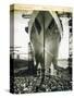 The Launching of the Rms Mauretania, 28th July 1938-English Photographer-Stretched Canvas