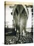 The Launching of the Rms Mauretania, 28th July 1938-English Photographer-Stretched Canvas