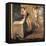 The Laundress-Giacomo Ceruti-Framed Stretched Canvas