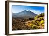 The Lava Store at the base of Pacaya Volcano in Guatemala City, Guatemala, Central America-Laura Grier-Framed Photographic Print